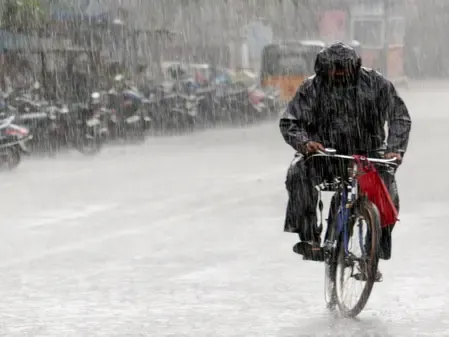 What Impact Did Heavy Rainfall Have on Gwalior and Chambal Divisions?