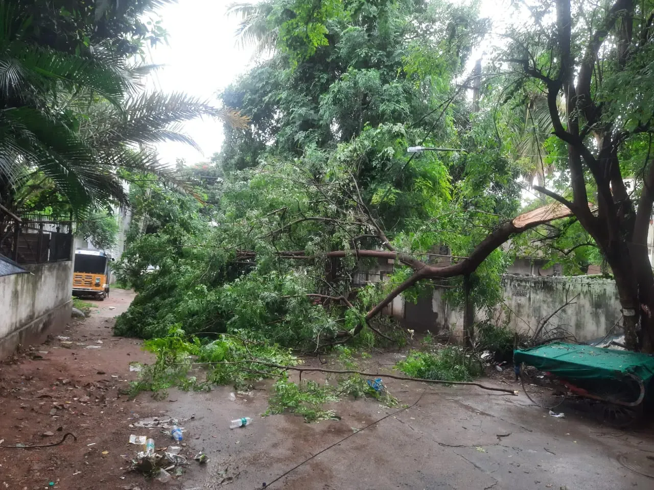 Severe Rainfall Disrupts Daily Life in Hyderabad