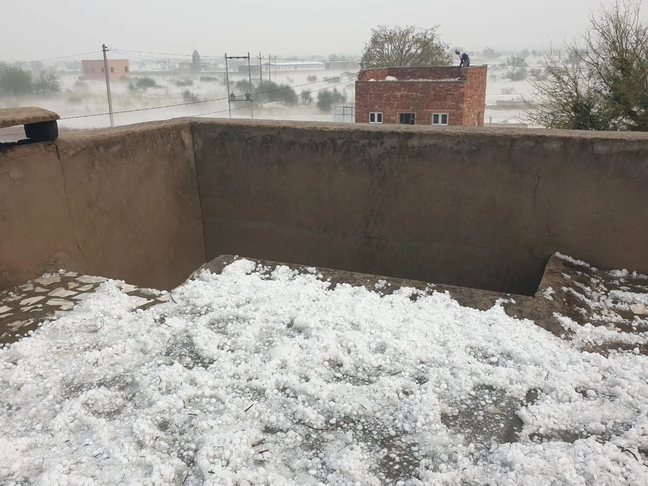 Did Heavy Rains Cause Disaster in Rajasthan? Mini-Truck Swept Away!