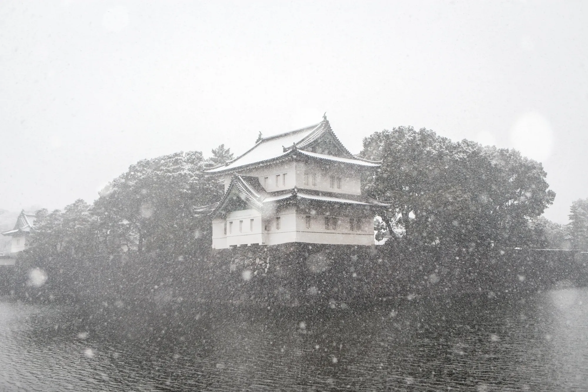 Severe Snowfall Impacts Regions Along the Sea of Japan