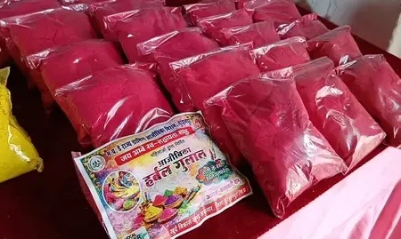 Herbal Gulal and Eco-Friendly Colors Shine at Burhanpur's Aajeevika Holi Mela