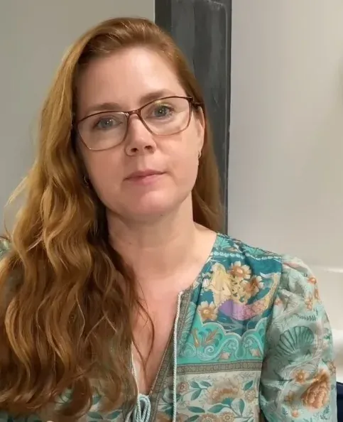 Amy Adams saved a stabbing victim using skills from 'Dr. Vegas'