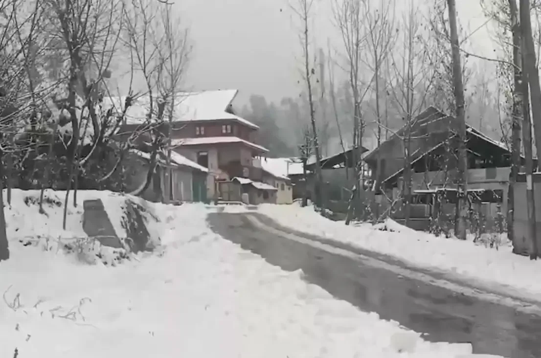 Fresh Snowfall Blankets Higher Areas of J&K