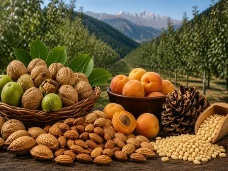 Himachal Pradesh High Value Nut Mission 2026–2031: Walnut, Almond Push to Lift Farmers