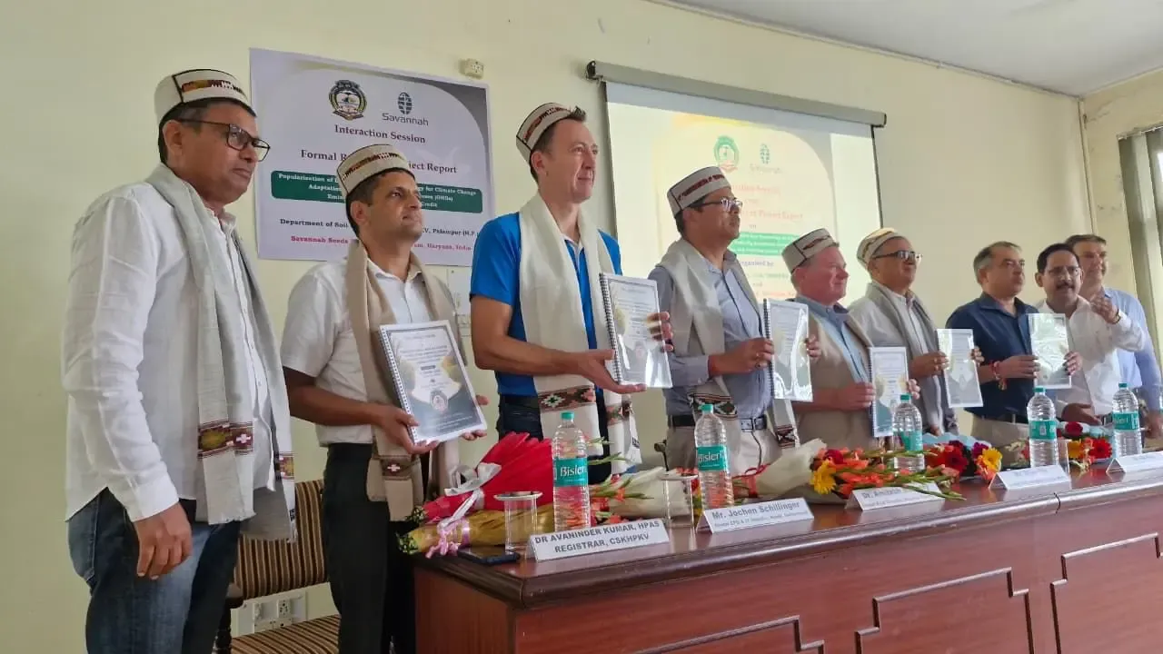 CSKHPKV study: Direct-seeded SAVA-134 cuts methane by 90% in Himachal rice fields