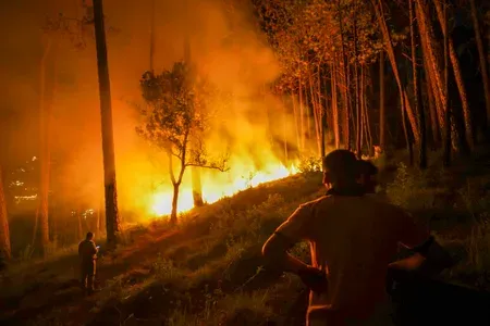 कर्नाटक: 'चामराजनगर अभ्यारण्य का 10 एकड़ क्षेत्र जलकर खाक,' वन विभाग जानबूझकर आग लगाने का संदेह