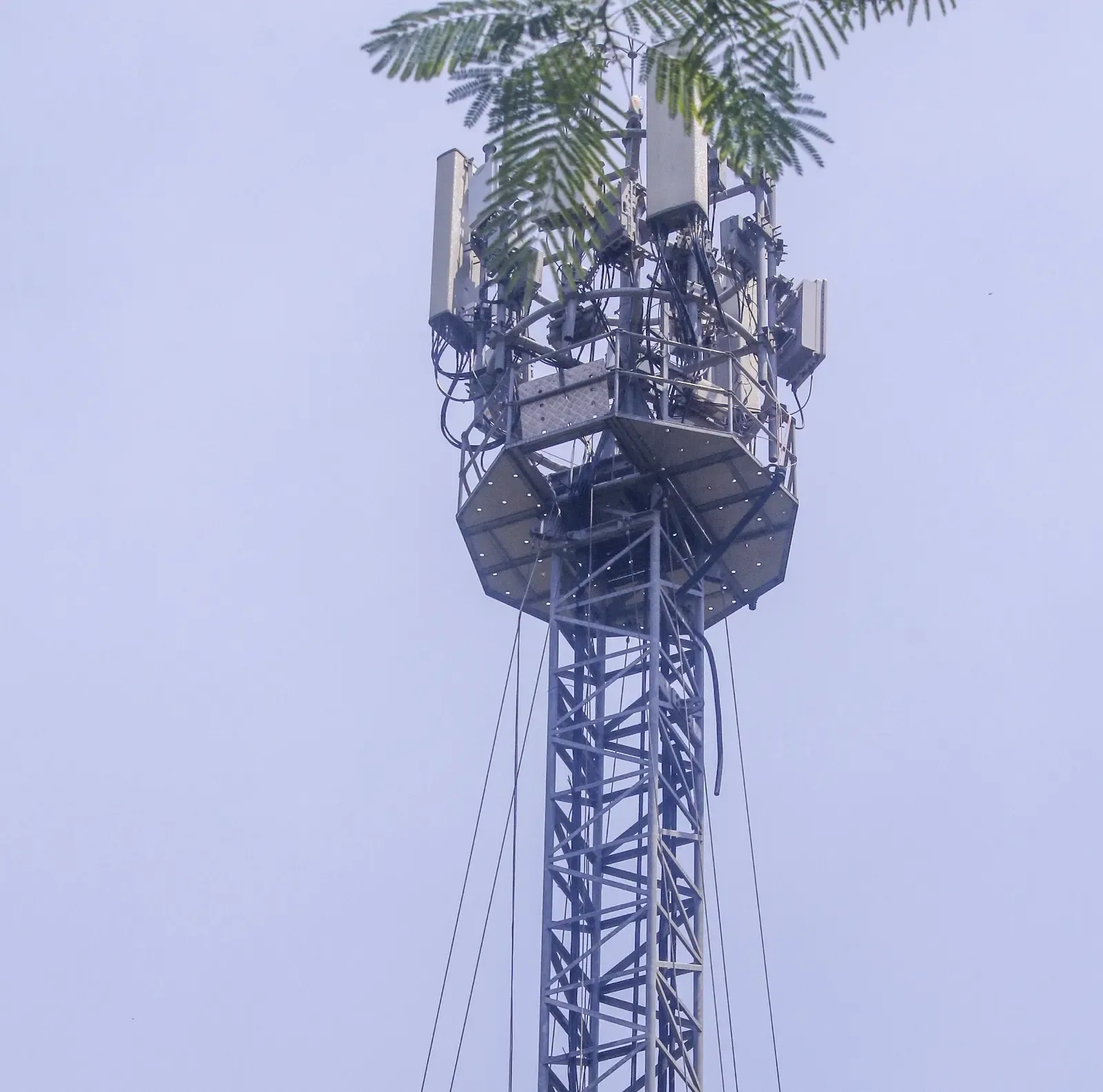 गोपालगंज में युवती ने प्रेमी की रिहाई के लिए किया मोबाइल टावर पर चढ़ाई