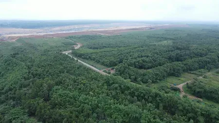 अदाणी ग्रुप ने छत्तीसगढ़ की सरगुजा खदान को हरित क्षेत्र में बदला, लगाए 16 लाख से अधिक पेड़-पौधे