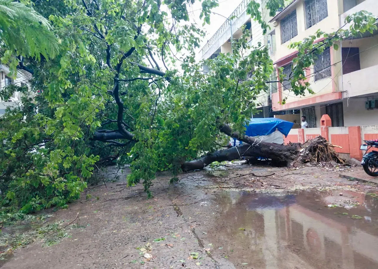 चक्रवात 'अर्नब': CM चंद्रबाबू नायडू ने अमित शाह को दी नुकसान की जानकारी, केंद्रीय टीम भेजने का आग्रह