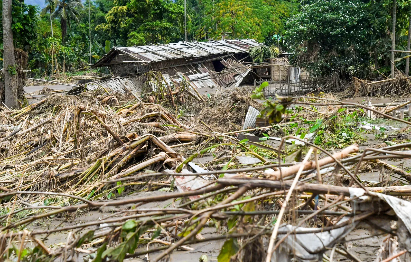असम बाढ़ राहत: CM हिमंता ने ₹160 करोड़ जारी किए, 75 हजार परिवारों को DBT से ₹15,000 मिले