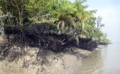 बांग्लादेश: विवादित वन परियोजना के खिलाफ आदिवासी और कैथोलिक नेताओं ने दी आंदोलन की चेतावनी