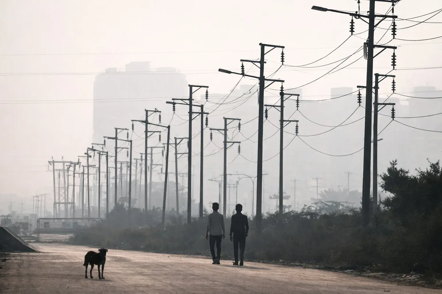 तमिलनाडु में बिजली बिल दो-तीन गुना बढ़े, TANGEDCO ने बिलिंग गड़बड़ी स्वीकारी और समीक्षा के आदेश दिए