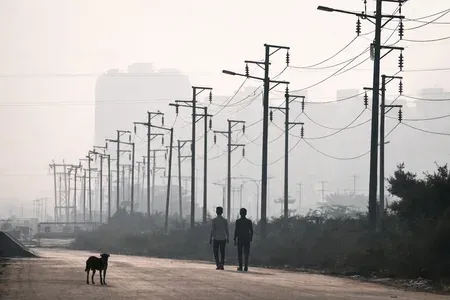तमिलनाडु में दो से तीन गुना बढ़े बिजली बिलों की शिकायत, बिजली बोर्ड ने दिए समीक्षा के आदेश 