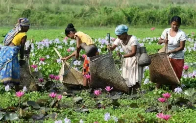 केंद्र ने असम और त्रिपुरा में कमजोर वर्गों के विकास के लिए 4,250 करोड़ रुपए के पैकेज को दी मंजूरी 