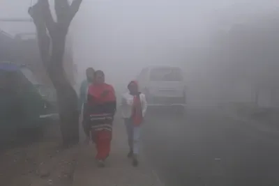 तेलंगाना के कई जिलों में शीतलहर की स्थिति, संगारेड्डी में सबसे कम दर्ज किया गया तापमान 