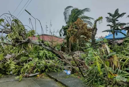 क्या वियतनाम में बुआलोई तूफान ने कहर बरपाया? मौत का आंकड़ा 11 तक पहुंचा; 33 घायल और 13 लापता