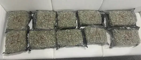 डीआरआई का बड़ा प्रहार: 5 विदेशियों समेत 20 गिरफ्तार, ₹14 करोड़ का 9.5 किलो सोना और हेरोइन जब्त