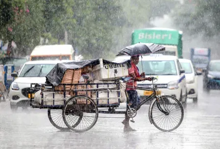 श्योपुर में आंधी-बारिश का कहर: टिन शेड ढहने और ऑटो पलटने से चार की मौत, एक घायल