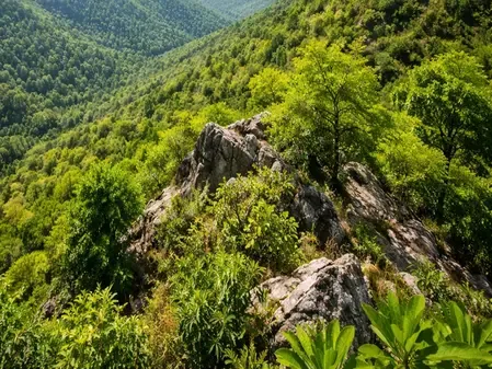क्या सुप्रीम कोर्ट ने अरावली पहाड़ियों की परिभाषा पर रोक लगाई और विशेषज्ञ समिति बनाने पर विचार किया?