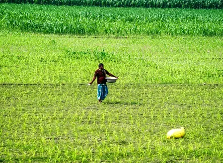 सरकार फसल उत्पादकता और किसानों की आजीविका को बेहतर बनाने के लिए कर रही है एआई टूल्स का इस्तेमाल