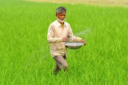 पश्चिम एशिया संकट के बीच देश में खाद का स्टॉक और सप्लाई दोनों ही मजबूत स्थिति में, उर्वरक की कीमतें स्थिर: केंद्र