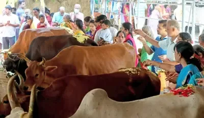 जीएसटी में बदलाव से सहकारी क्षेत्र और 10 करोड़ डेयरी किसानों को बढ़ावा मिलेगा : सरकार