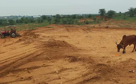 गुजरात सरकार ने ग्रामीण बेघर परिवारों के लिए आवासीय भूखंड समतलीकरण सहायता बढ़ाई 