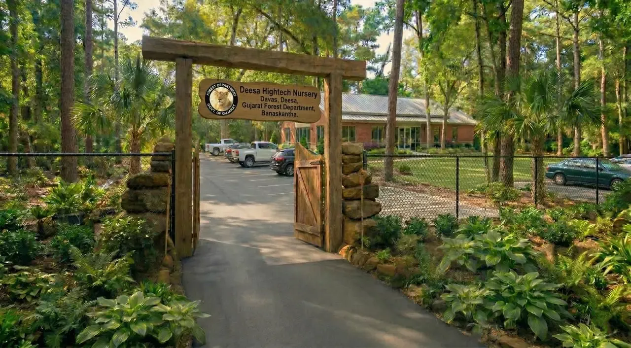 गुजरात में बनेगी पहली हाई-टेक नर्सरी, बनासकांठा में 3.5 करोड़ की लागत से होगा 'ग्रीन मॉडल'