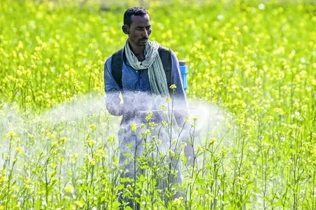 हरियाणा ने कृषि और संबद्ध क्षेत्रों के लिए 1,122 करोड़ रुपए की योजना को मंजूरी दी