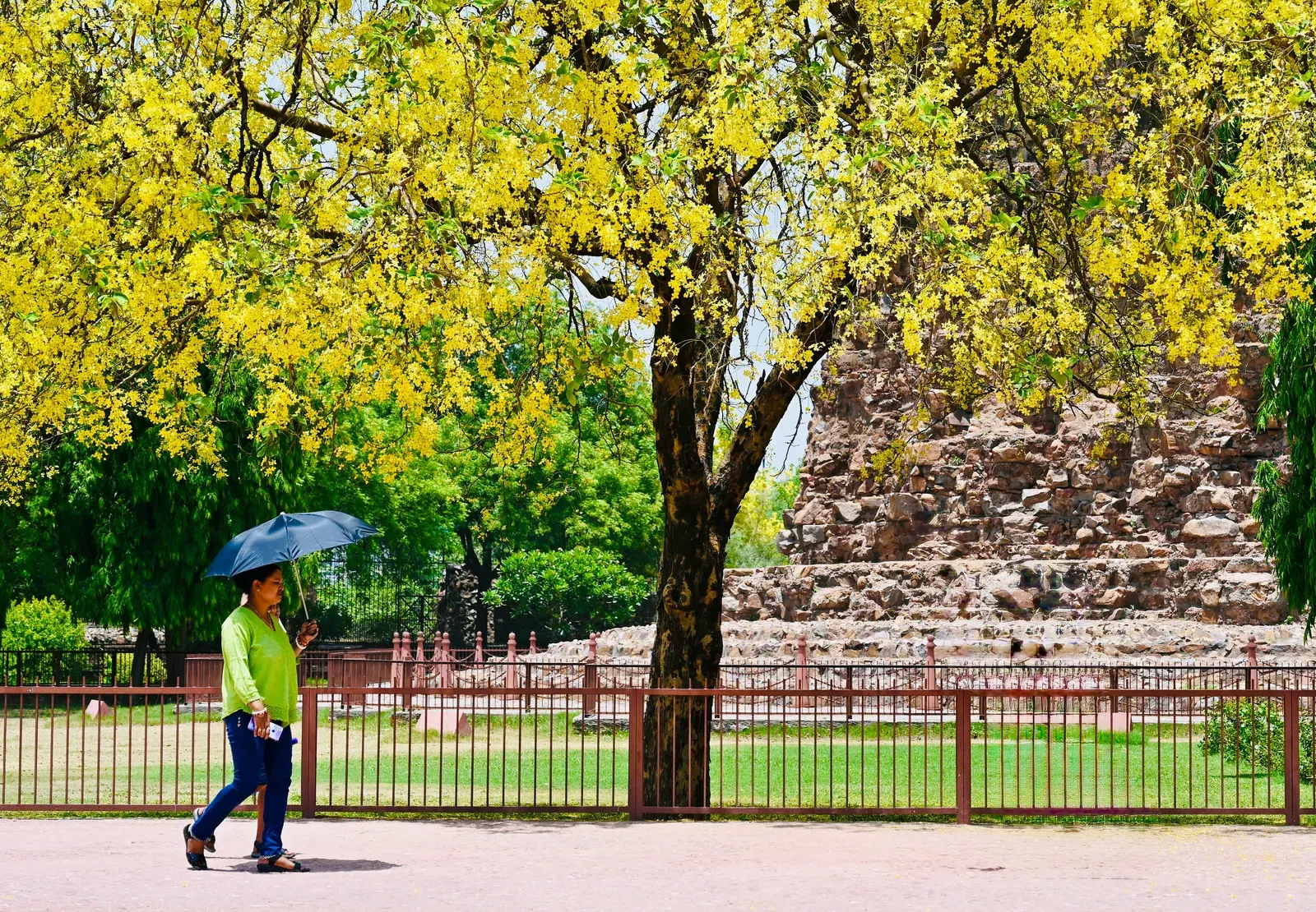 दिल्ली में 41°C की तपिश, हीट इंडेक्स 48°C पार; IMD ने बुधवार तक राहत का अनुमान जताया