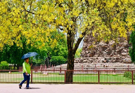 दिल्ली में 41°C की तपिश, हीट इंडेक्स 48°C पार; IMD ने बुधवार तक राहत का अनुमान जताया