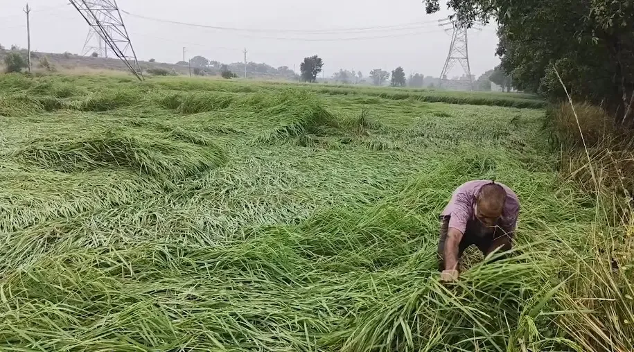 बिहार में भारी बारिश और आंधी-तूफान का अलर्ट; सीतामढ़ी-मधुबनी के लिए रेड अलर्ट जारी