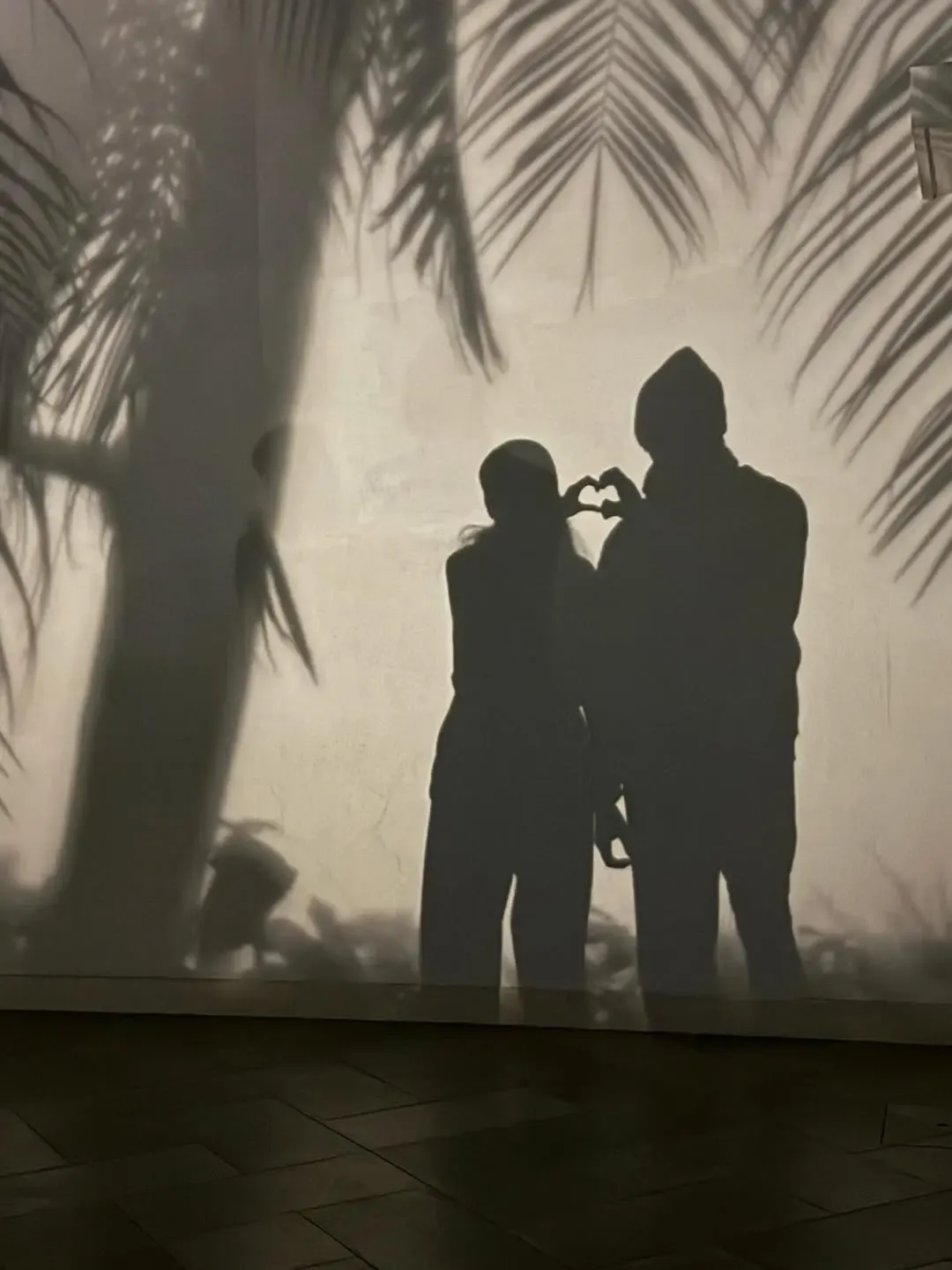 क्या ऋतिक रोशन सबा आजाद के साथ दिल बनाने में असफल रहे?