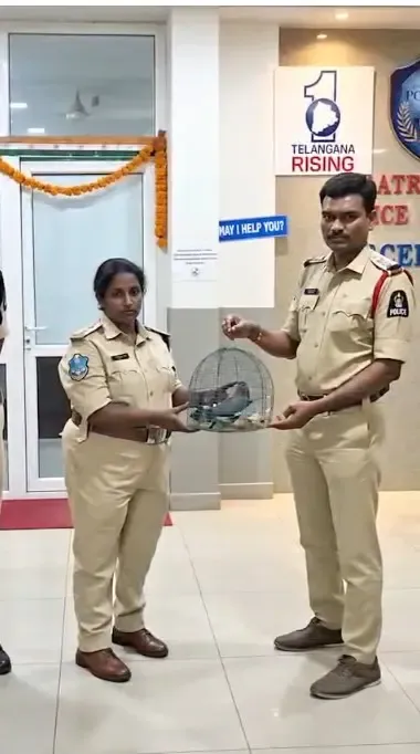 दशहरे पर इंडियन रोलर की तस्करी: हैदराबाद पुलिस ने तीन जगहों पर छापा मारकर चार पक्षी बचाए