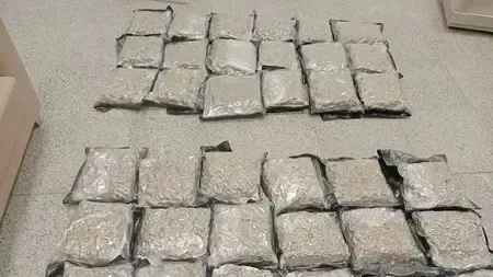 क्या हैदराबाद एयरपोर्ट पर कस्टम ने 14 करोड़ रुपए का हाइड्रोपोनिक गांजा जब्त किया?