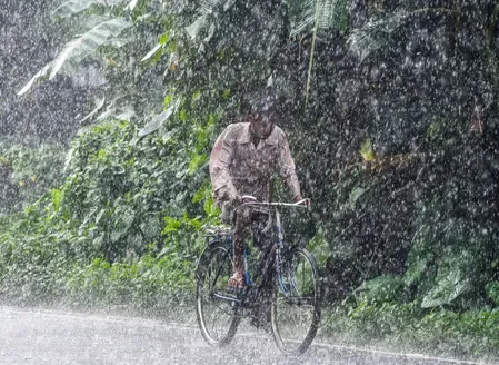 मध्य प्रदेश में भारी बारिश और बिजली गिरने का अलर्ट, 30 से अधिक जिलों में IMD की चेतावनी