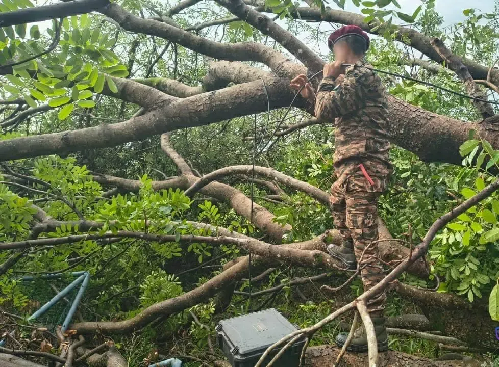 क्या भारतीय सेना ने श्रीलंका में दित्वाह से प्रभावित ऑप्टिकल फाइबर नेटवर्क को बहाल किया?