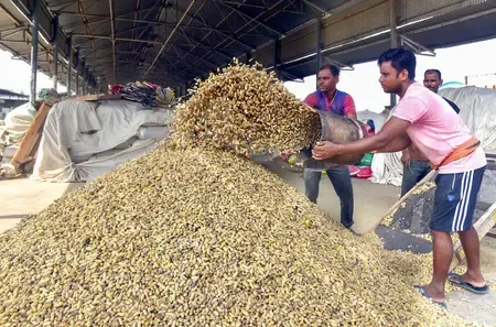क्या भारत में बेरोजगारी दर दिसंबर में 4.8 प्रतिशत पर स्थिर रही?