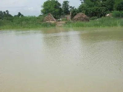 कोसी नदी का जलस्तर 97,935 क्यूसेक पार, बिहार के 20 जिलों में हाई अलर्ट