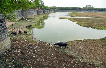 भीषण गर्मी के बीच महाराष्ट्र पर गंभीर सूखे का खतरा : शिवसेना (यूबीटी)
