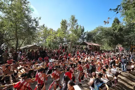 नागालैंड: 'हॉर्नबिल फेस्टिवल' के पांचवें दिन 18 नागा जनजातियों की समृद्ध परंपराओं का भव्य प्रदर्शन