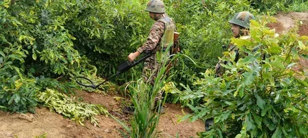 आईडी धमाके के बाद नगालैंड में चलाया गया तलाशी अभियान, असम राइफल्स के शहीद हवलदार का शव भेजा जाएगा घर 