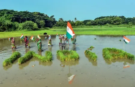किसानों को 25 करोड़ से ज्यादा सॉइल हेल्थ कार्ड बांटे गए, योजना के लिए 1,706 करोड़ रुपए जारी
