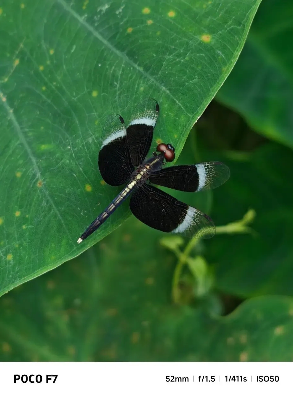 क्या पोको एफ-7 के लिए पहला ओटीए सॉफ्टवेयर अपडेट आया है?