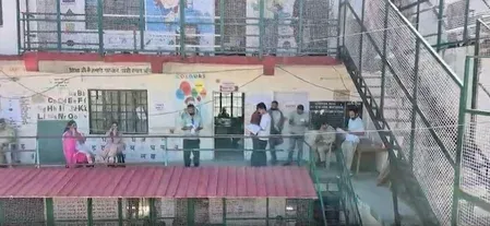 हिमाचल पंचायत चुनाव 2026: पहले चरण में 1,293 ग्राम पंचायतों में मतदान जारी, BJP ने जताई सरकारी हस्तक्षेप की आशंका