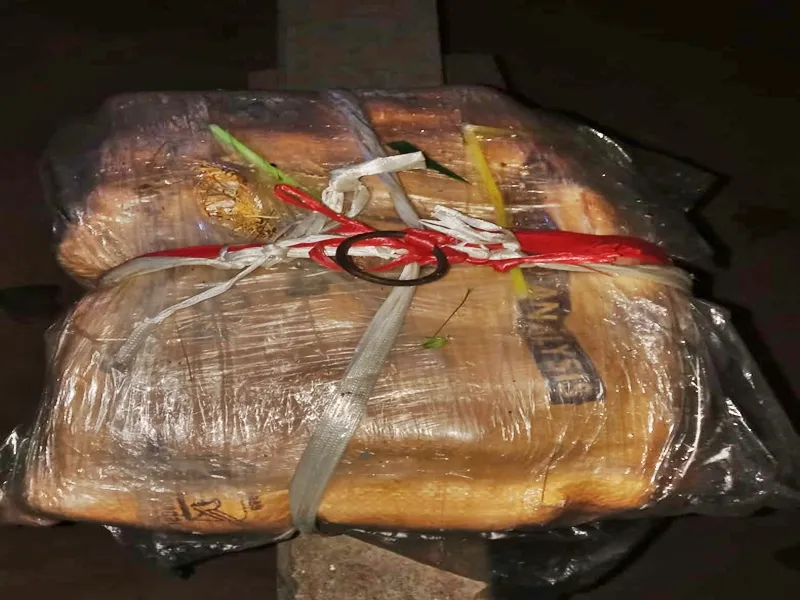 पाकिस्तान समर्थित तस्करी नेटवर्क का खुलासा, तीन प्रमुख मास्टरमाइंड गिरफ्तार