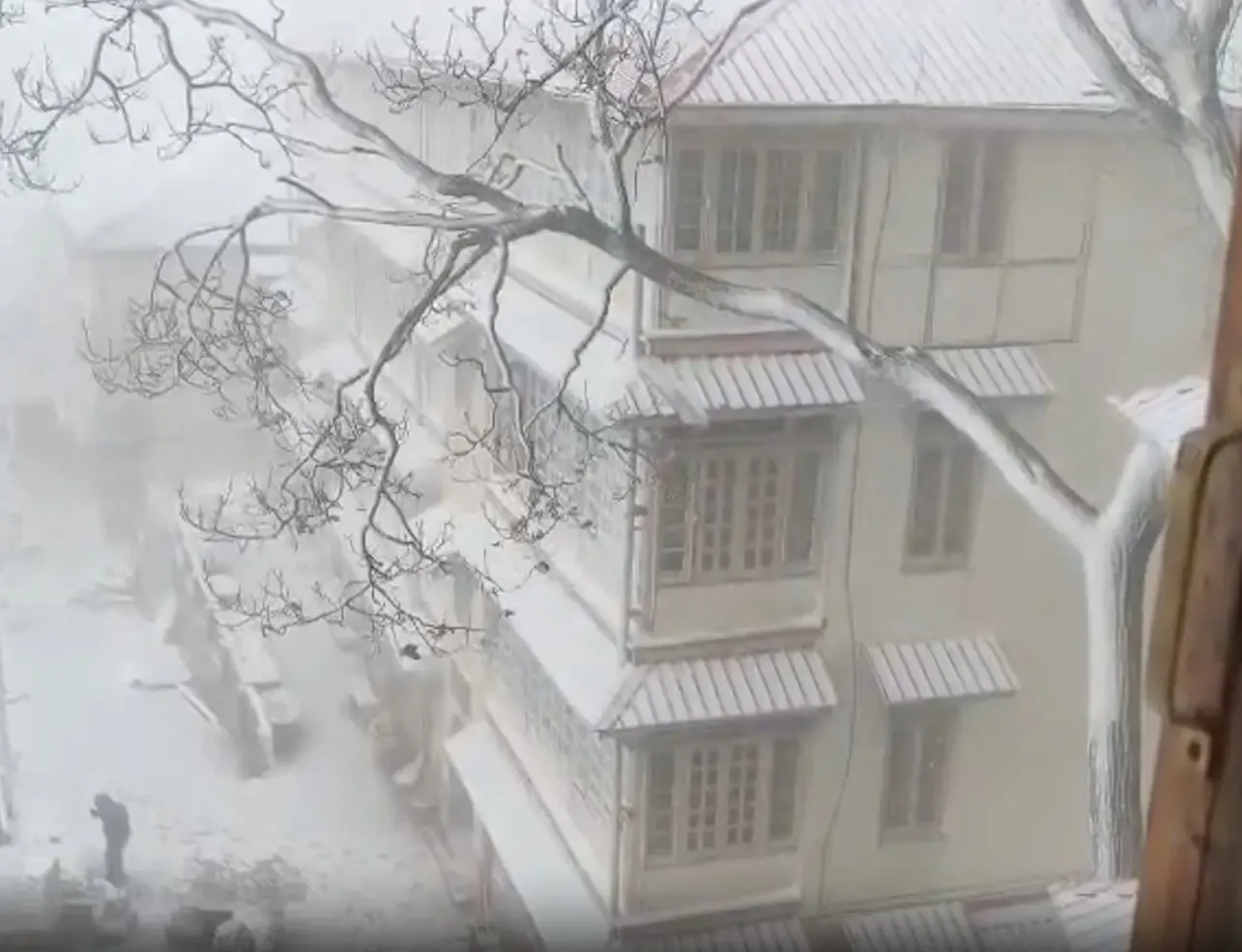 क्या शिमला और मनाली में मौसम की पहली बर्फबारी ने पर्यटकों को आकर्षित किया?