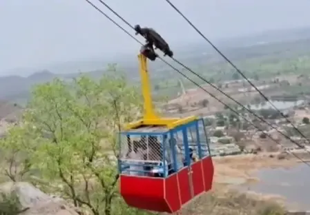 छत्तीसगढ़: महासमुंद में खल्लारी मंदिर की रोपवे टूटने से छह श्रद्धालु घायल