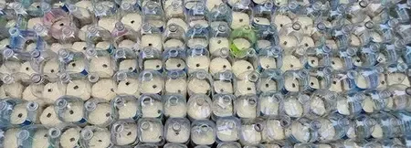 दक्षिण कोरिया : उत्तर कोरिया को चावल और डॉलर से भरी प्लास्टिक की बोतलें भेजने की कोशिश करने पर 6 अमेरिकी गिरफ्तार