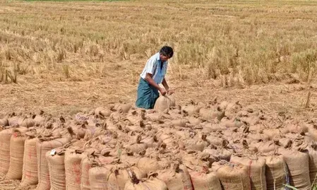 तमिलनाडु में धान खरीद का रिकॉर्ड: 2025-26 में 64.2 लाख मीट्रिक टन, PDS भंडार मजबूत